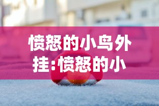 愤怒的小鸟外挂:愤怒的小鸟破解决 愤怒的小鸟外挂:愤怒的小鸟破解决