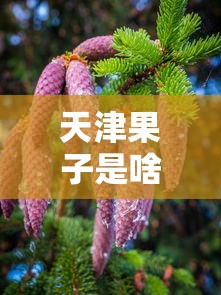天津果子是啥/天津果子配方大全