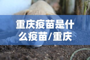 【河北省疫情紧急通知太原最新,河北省最新消息今天】