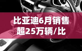 比亚迪6月销售超25万辆/比亚迪6月销售超25万辆汽车