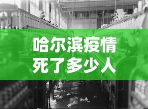 哈尔滨疫情死了多少人(哈尔滨现在有多少人感染) 哈尔滨疫情死了多少人(哈尔滨现在有多少人感染)