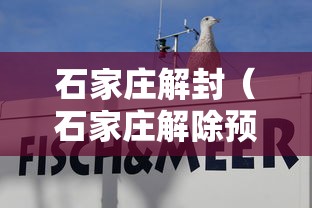 石家庄解封(石家庄解除预警最新消息) 石家庄解封(石家庄解除预警最新消息)