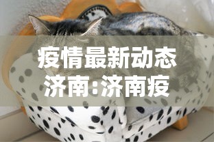 疫情最新动态济南:济南疫情最新情况