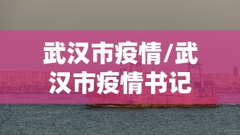 武汉市疫情/武汉市疫情书记
