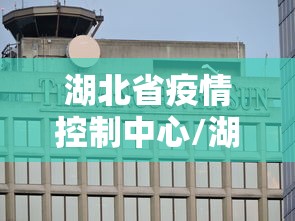 湖北省疫情控制中心/湖北防疫