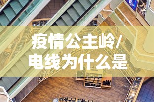 疫情公主岭/电线为什么是两根