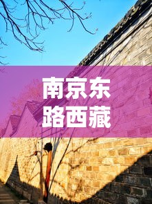 南京东路西藏路/南京东路西藏路附近停车场