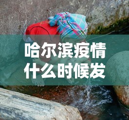 哈尔滨疫情什么时候发现的(哈尔滨瘟疫是哪一年) 哈尔滨疫情什么时候发现的(哈尔滨瘟疫是哪一年)