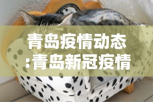 青岛疫情动态:青岛新冠疫情最新情况
