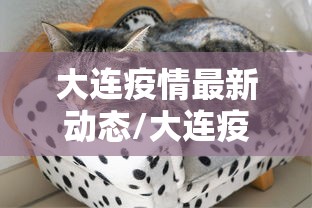 大连疫情最新动态/大连疫情最新动态今天 大连疫情最新动态/大连疫情最新动态今天
