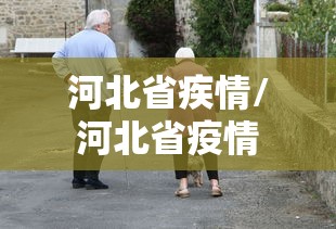 河北省疾情/河北省疫情