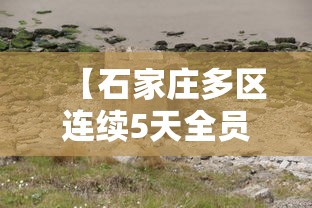 【石家庄多区连续5天全员核检,2021年石家庄全员封控起止时间】