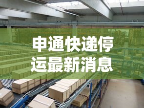 申通快递停运最新消息2023/申通快递最新回应