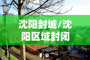 沈阳封城/沈阳区域封闭