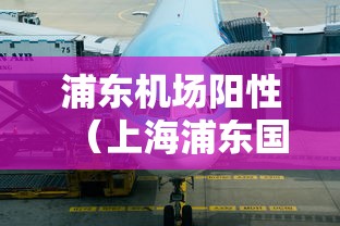 浦东机场阳性（上海浦东国际机场最新公告）