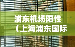 浦东机场阳性（上海浦东国际机场最新公告）