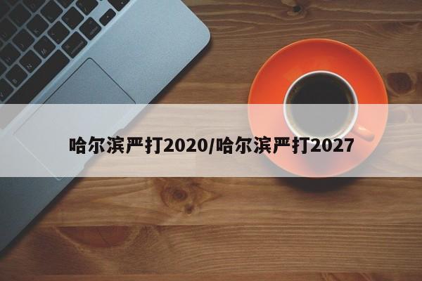 哈尔滨严打2020/哈尔滨严打2027