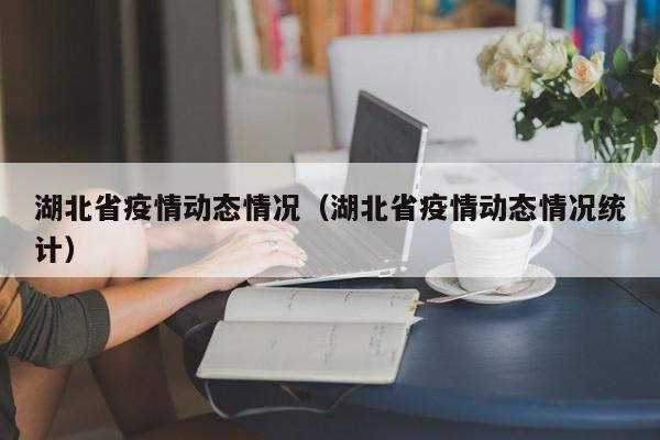 湖北省疫情动态情况(湖北省疫情动态情况统计)