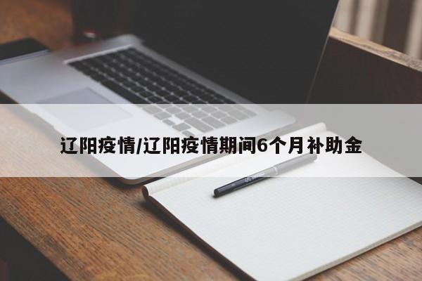 辽阳疫情/辽阳疫情期间6个月补助金