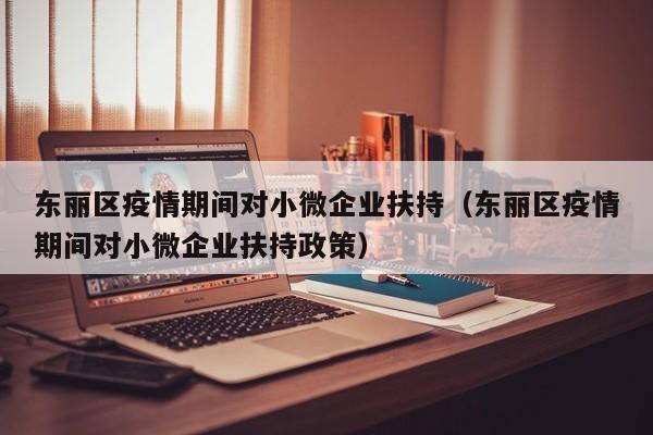 东丽区疫情期间对小微企业扶持(东丽区疫情期间对小微企业扶持政策)