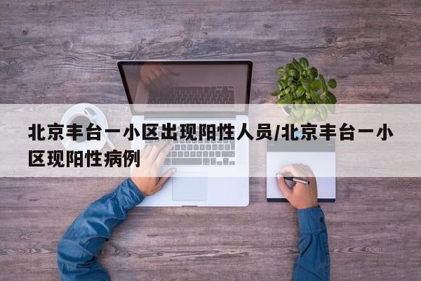 北京丰台一小区出现阳性人员/北京丰台一小区现阳性病例