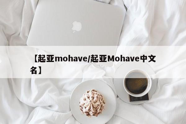 【起亚mohave/起亚Mohave中文名】