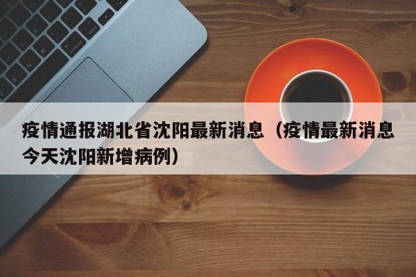 疫情通报湖北省沈阳最新消息(疫情最新消息今天沈阳新增病例)