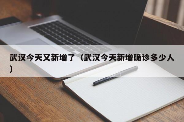 武汉今天又新增了(武汉今天新增确诊多少人)