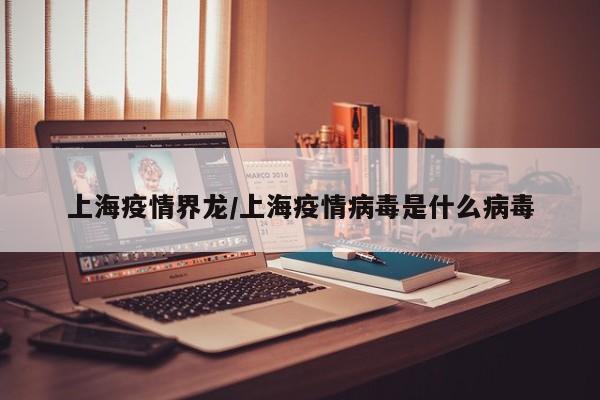 上海疫情界龙/上海疫情病毒是什么病毒