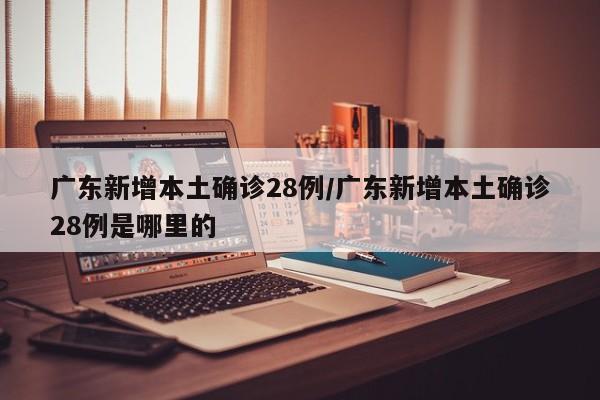 广东新增本土确诊28例/广东新增本土确诊28例是哪里的