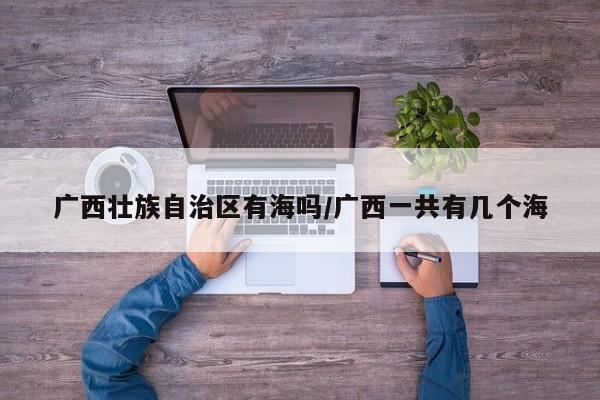 广西壮族自治区有海吗/广西一共有几个海
